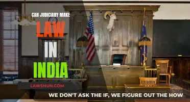 Judiciary's Lawmaking Powers in India: Explained