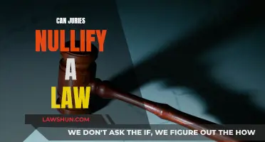 Juries' Power: Can They Nullify a Law?