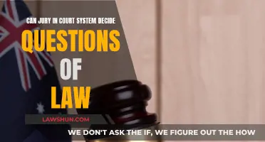 Jury's Role: Questions of Law or Fact?