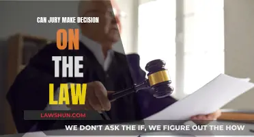 Jury's Power: Interpreting Law, Making Decisions
