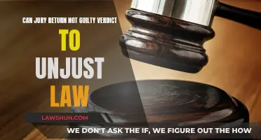 Jury Nullification: Can Juries Overturn Unjust Laws?