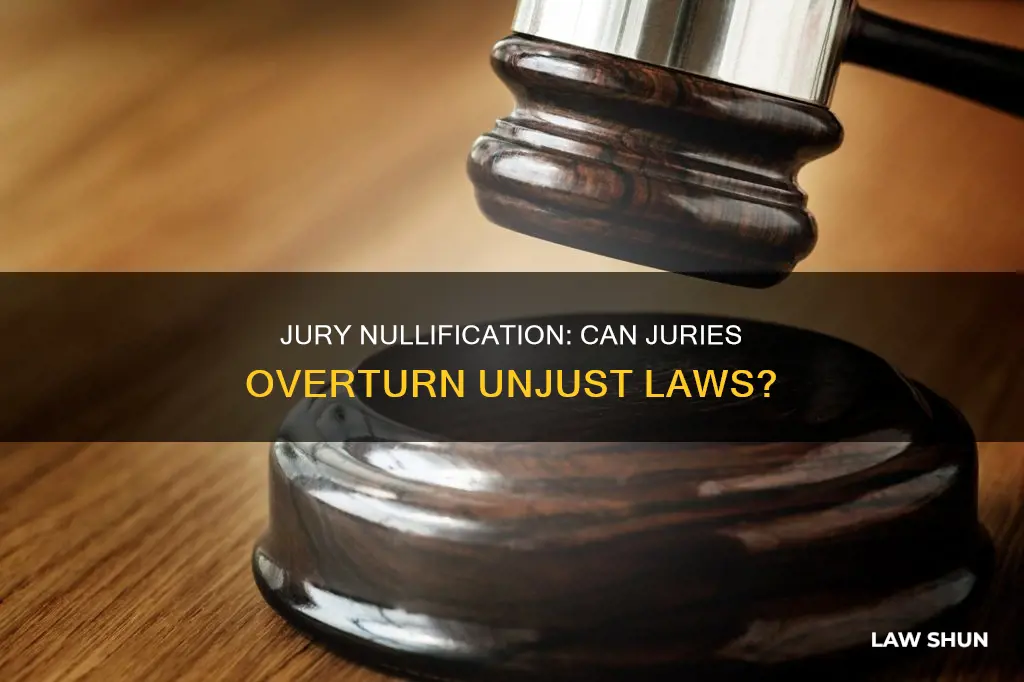 can jury return not guilty verdict to unjust law