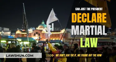 Martial Law: Presidential Power Play?