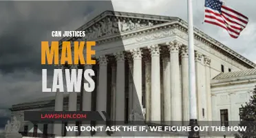 Justices and Lawmaking: Who Holds the Power?