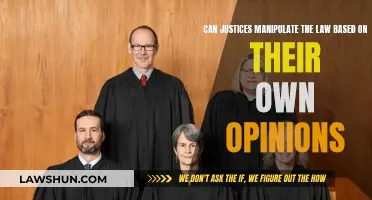 Justices' Opinions: How Much Power Do They Wield?