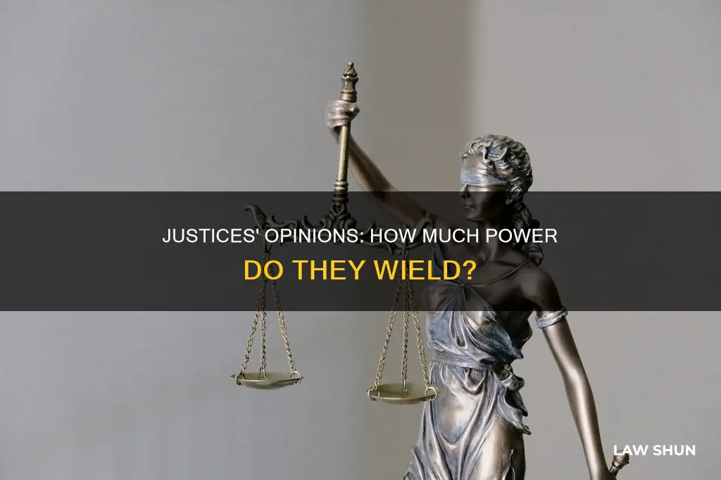 can justices manipulate the law based on their own opinions
