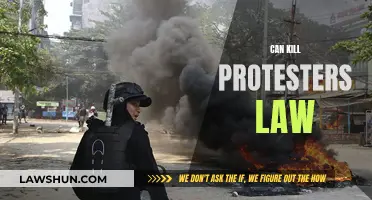 Protesters' Rights: Can They Be Killed by Law?