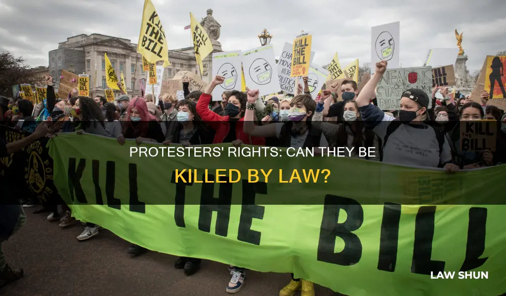 can kill protesters law