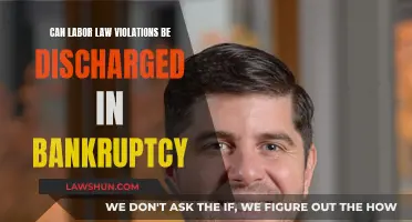 Labor Law Violations: Bankruptcy Discharge?
