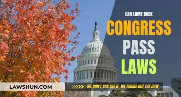 Lame Duck Congress: Lawmaking Power?