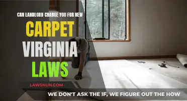 Landlord Carpet Charges: Your Virginia Rights