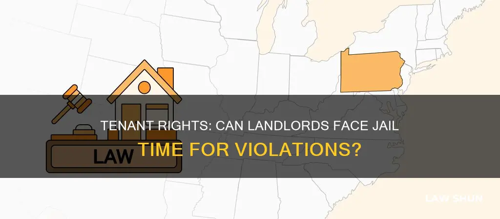 can landlords go to jail for tenant laws