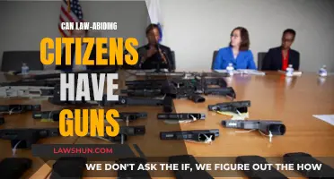 Gun Rights: Law-Abiding Citizens and Gun Ownership