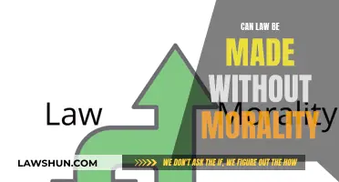 Morality and Law: Can They Be Separated?