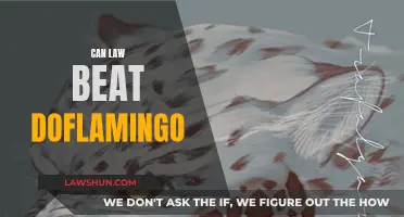 Law vs Doflamingo: Who Would Win?