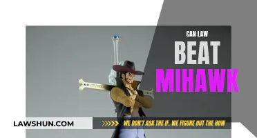 Law vs Mihawk: Who Would Win?