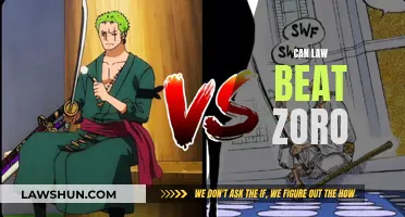 Law vs. Zoro: Who Would Win?