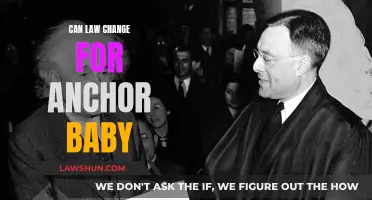 Anchor Babies: Changing Laws, Changing Lives