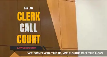 Law Clerks: Can They Call Court?
