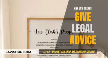 Law Clerks: Legal Advice or Not?