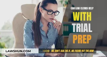 Law Clerks: Trial Prep Superheroes?