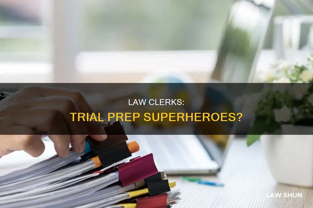 can law clerks help with trial prep