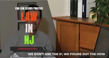 Law Clerks: Can They Practice in NJ?