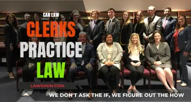 Law Clerks: Can They Practice Law?