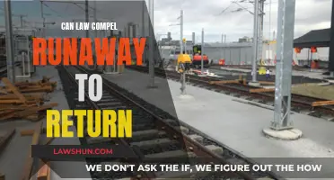 Runaway Return: Can Law Enforce This?