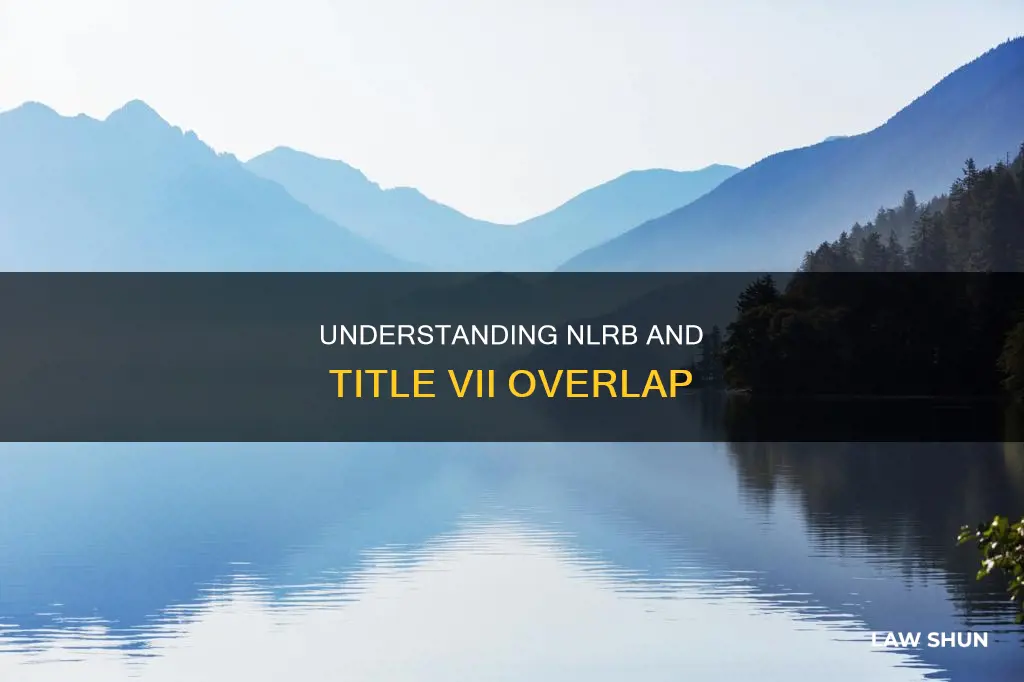 can law dealing with nlrb apply to title vii