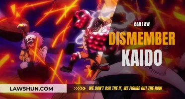 Law's Power: Dismembering Kaido?