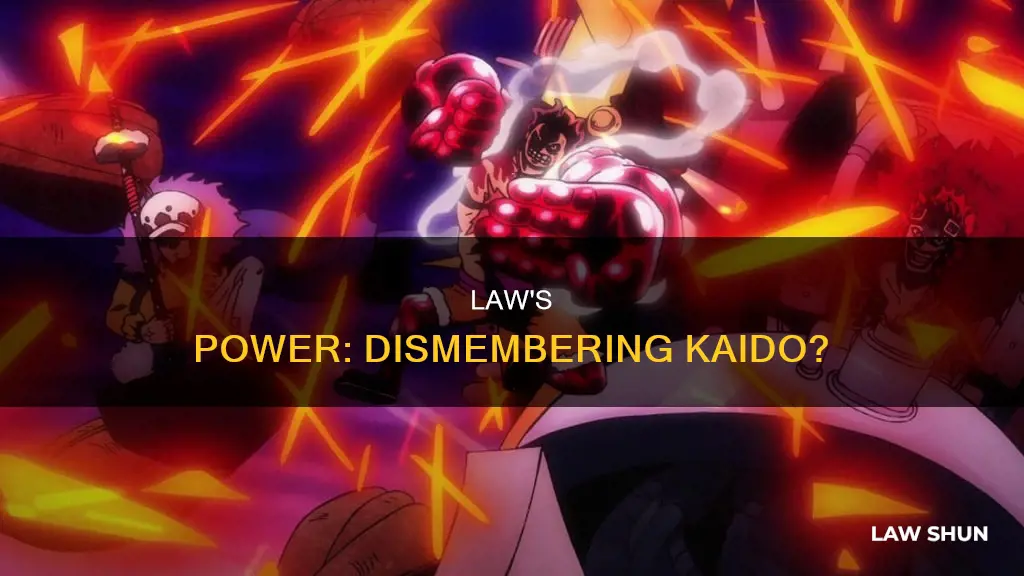 can law dismember kaido