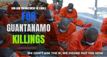 Guantanamo Killings: Can Law Enforcement Face Liability?