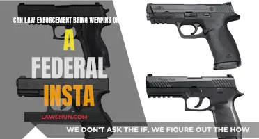 Can Police Carry Guns on Federal Property?