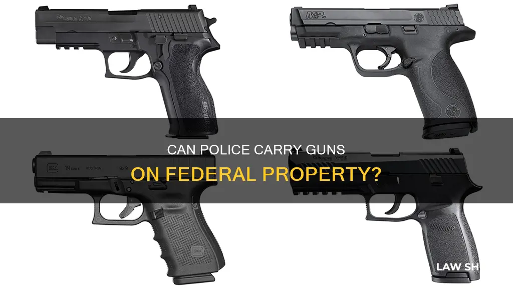 can law enforcement bring weapins onto a federal insta
