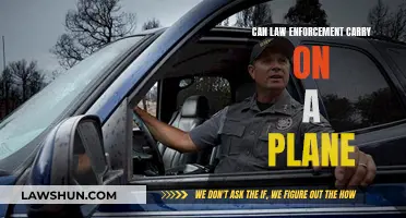 Air Travel and Law Enforcement: Who Can Carry?