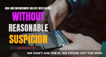 Law Enforcement's Power: Reasonable Suspicion and Intelligence