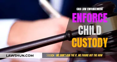 Child Custody and Law Enforcement: What's the Deal?