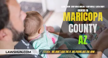 Maricopa County: Understanding Law Enforcement's Custody Order Role
