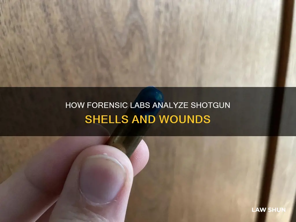 can law enforcement obtain buckshot ballistics laboratory