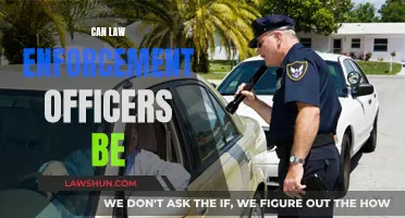 Law Enforcement Officers: Heroes or Villains?
