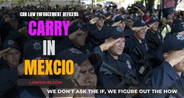 Carrying Firearms in Mexico: Rules for Law Enforcement Officers