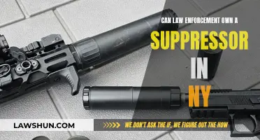 Suppressor Ownership: Legal Status for NY Law Enforcement