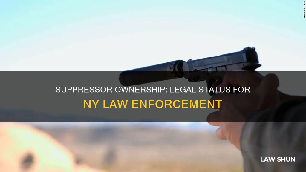 can law enforcement own a suppressor in ny