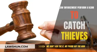 Luring Thieves: Can Cops Use Deception to Catch Criminals?