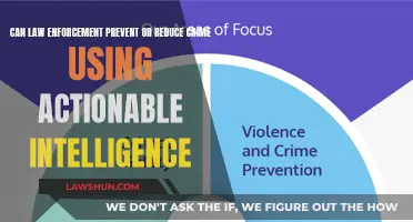 Law Enforcement: Crime Prevention Through Actionable Intelligence
