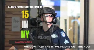 AR-15s: Legal for NY Law Enforcement?
