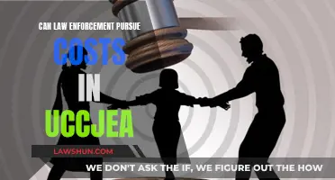 Pursuing Costs in UCCJEA: Rights of Law Enforcement