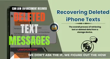 Recovering Deleted Texts: Can Law Enforcement Access Them?