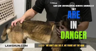 Law Enforcement: Saving Animals in Danger